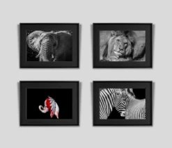 Art Prints Shop 18 Call Of The Wild (Set Of Four- Fiesta/Tusker/Sovereign/Against Stripes)