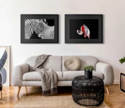 Call Of The Wild (Set Of Four- Fiesta/Tusker/Sovereign/Against Stripes) -Art Prints Shop abe room set 2 1600x1380 2021 09 02T13 10 13