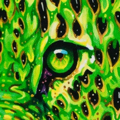 Sage (Medium) -Art Prints Shop box sage 4 2023 06 22T13 56 37