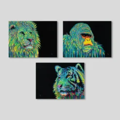 Triumph- Set Of Three