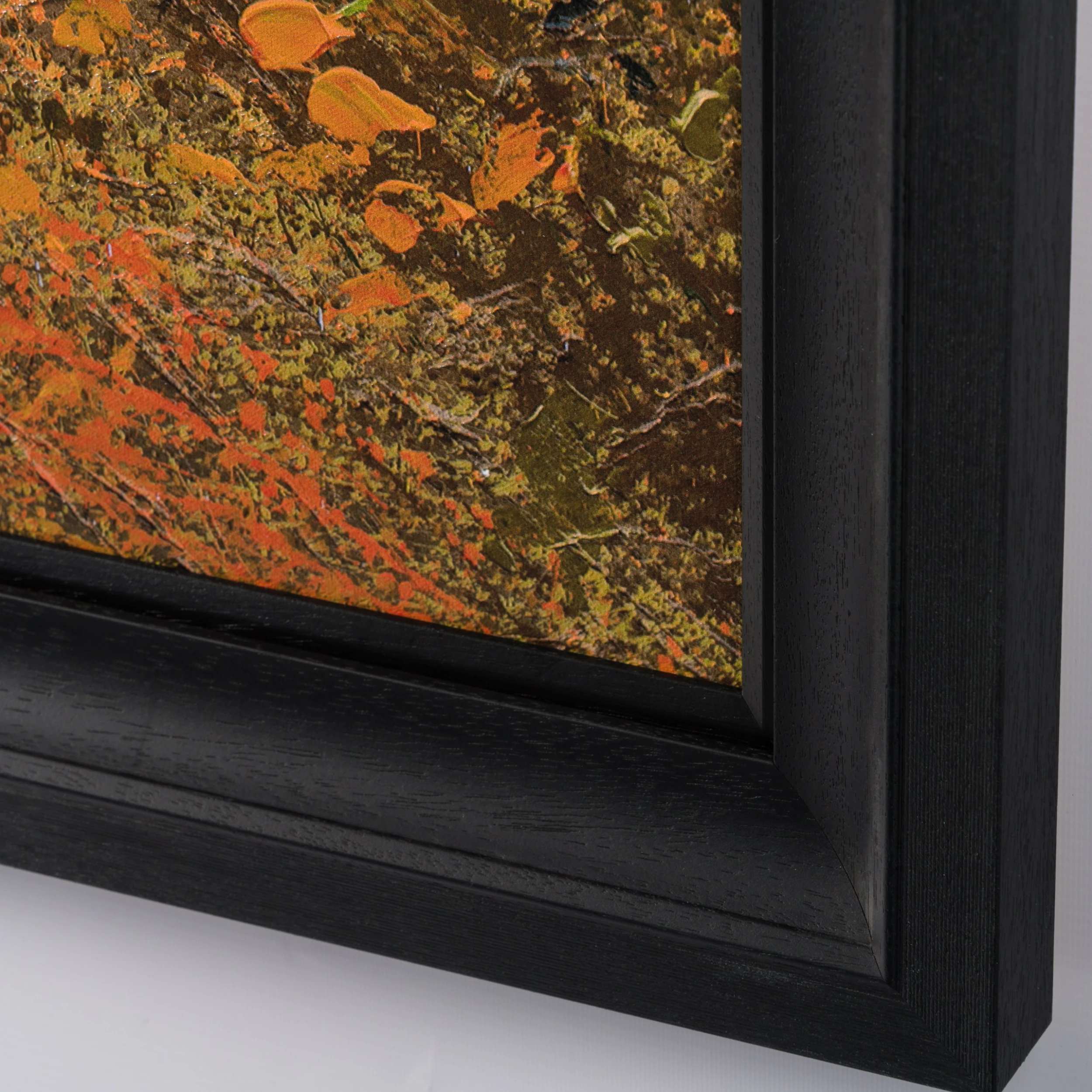 Autumn Leaves 3 Autumn Leaves - Image 3