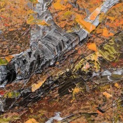 Autumn Leaves 9 Autumn Leaves -Art Prints Shop pke sle lan 29324 4 autumn leaves 2023 02 13T15 03 55